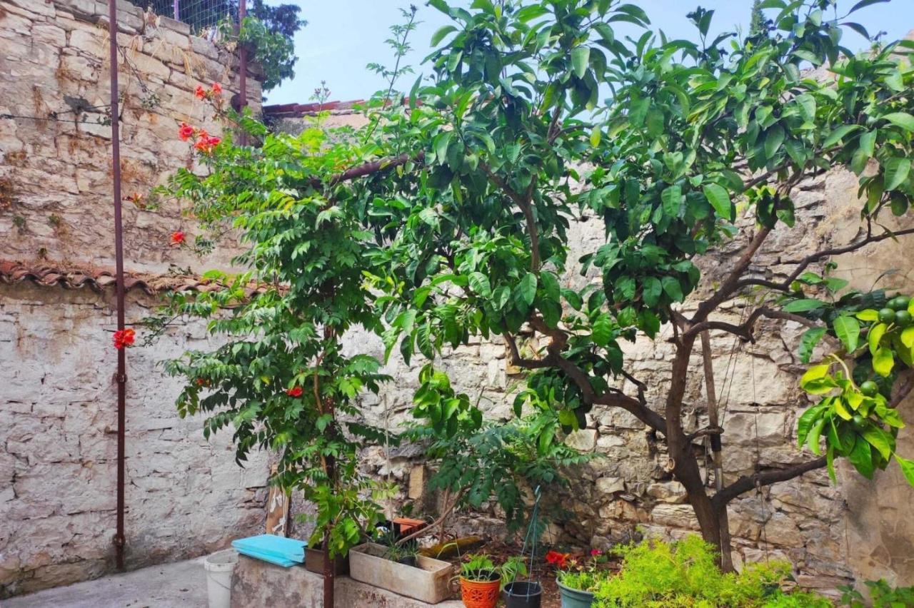Casa Dei Fiori *