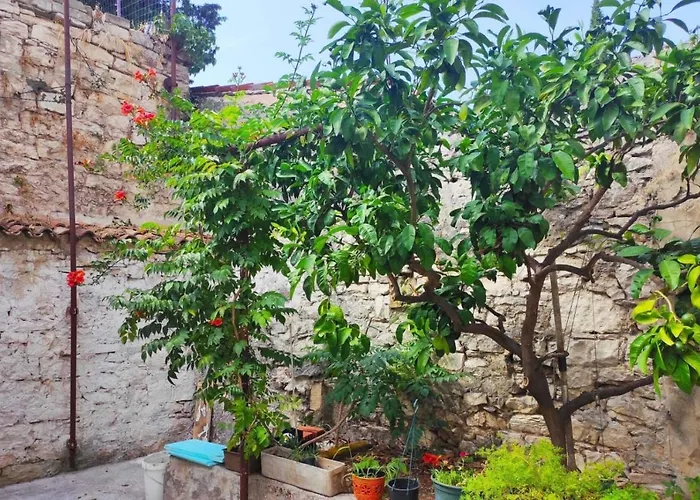 Casa Dei Fiori